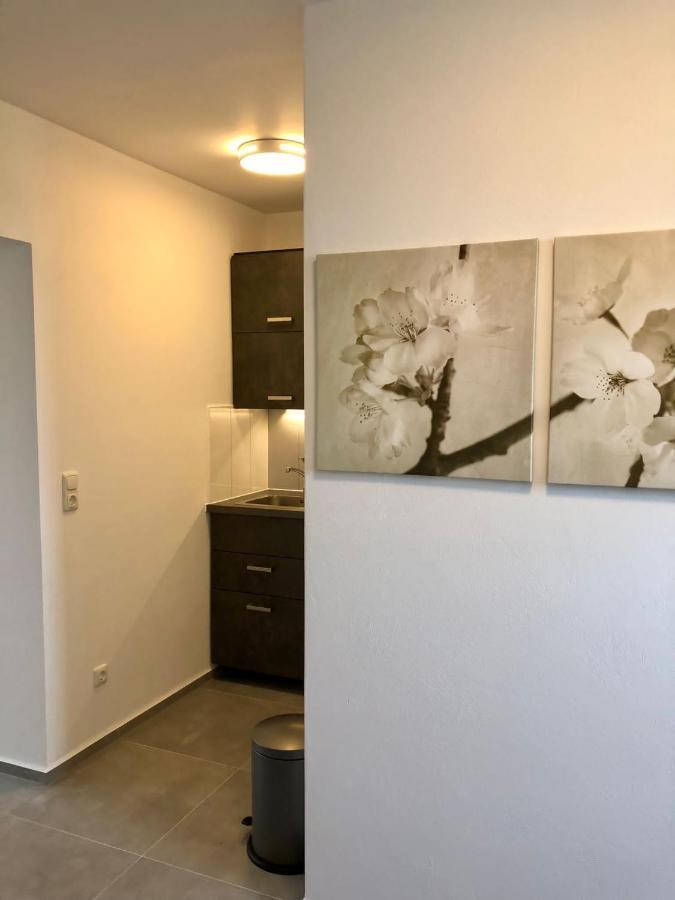 Erdgeschoss-Appartement Mit Seeterasse Ahrensbok Екстер'єр фото